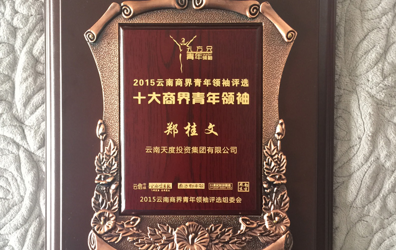 在“互聯(lián)網(wǎng)大時(shí)代”的背景下，天度作為本土很大和很有名的互聯(lián)網(wǎng)服務(wù)企業(yè)，為近萬(wàn)家傳統(tǒng)企業(yè)轉(zhuǎn)型互聯(lián)網(wǎng)+提供了服務(wù)和幫助，獲此獎(jiǎng)項(xiàng)后，我們將再接再厲，創(chuàng)造更高的社會(huì)價(jià)值